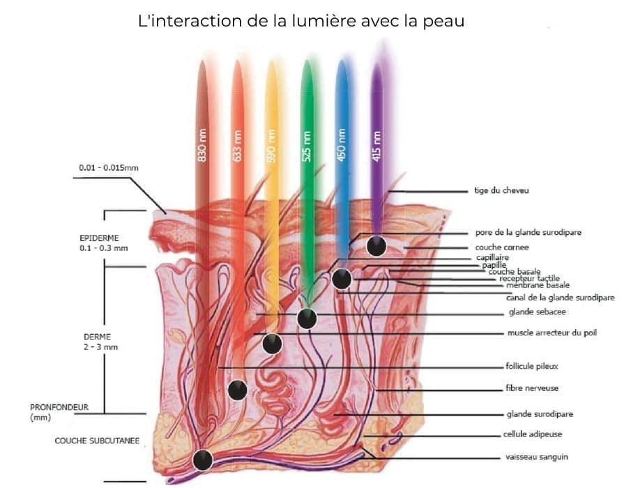 Photomodulation peau